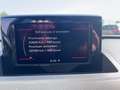 Audi Q3 2.0 TDI 163 CV S TRONIC 7 QUATTRO / DISTRI OK / FA Negro - thumbnail 12