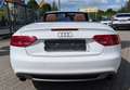 Audi A5 Cabriolet 3.0TDI Quattro*S-Line*B&O*AHK*RKam* Weiß - thumbnail 6