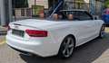 Audi A5 Cabriolet 3.0TDI Quattro*S-Line*B&O*AHK*RKam* Weiß - thumbnail 5