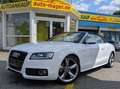 Audi A5 Cabriolet 3.0TDI Quattro*S-Line*B&O*AHK*RKam* Weiß - thumbnail 10
