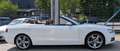 Audi A5 Cabriolet 3.0TDI Quattro*S-Line*B&O*AHK*RKam* Weiß - thumbnail 4