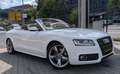 Audi A5 Cabriolet 3.0TDI Quattro*S-Line*B&O*AHK*RKam* Weiß - thumbnail 3
