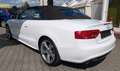 Audi A5 Cabriolet 3.0TDI Quattro*S-Line*B&O*AHK*RKam* Weiß - thumbnail 14