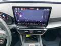 CUPRA Leon 2.0 TDI DSG LED+NAVI+APP+ACC+SHZ+RFK+NSW+VC Grau - thumbnail 11