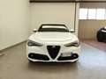Alfa Romeo Stelvio 2.2 TD AT8 Pelle&Tessuto Navi Telecamera Cerchi20" Blanc - thumbnail 41