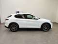 Alfa Romeo Stelvio 2.2 TD AT8 Pelle&Tessuto Navi Telecamera Cerchi20" Blanc - thumbnail 42