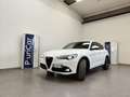 Alfa Romeo Stelvio 2.2 TD AT8 Pelle&Tessuto Navi Telecamera Cerchi20" Blanc - thumbnail 47