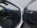 Ford Focus Turnier ST-Line Automatik *LED*AHK*ACC*RFK Weiß - thumbnail 22