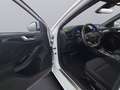 Ford Focus Turnier ST-Line Automatik *LED*AHK*ACC*RFK Weiß - thumbnail 11