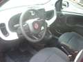 Fiat Panda Cross Pandina 1.0 FireFly Hybrid 5P Nuovo Modell Rosso - thumbnail 14