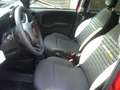 Fiat Panda Cross Pandina 1.0 FireFly Hybrid 5P Nuovo Modell Rosso - thumbnail 21