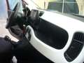 Fiat Panda Cross Pandina 1.0 FireFly Hybrid 5P Nuovo Modell Rosso - thumbnail 27