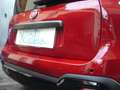 Fiat Panda Cross Pandina 1.0 FireFly Hybrid 5P Nuovo Modell Rosso - thumbnail 11