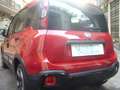 Fiat Panda Cross Pandina 1.0 FireFly Hybrid 5P Nuovo Modell Rosso - thumbnail 13