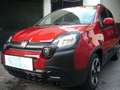 Fiat Panda Cross Pandina 1.0 FireFly Hybrid 5P Nuovo Modell Rosso - thumbnail 2