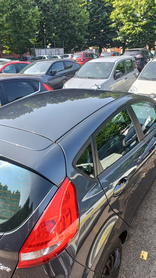 Ford Fiesta 5p 1.2 16v + - 1