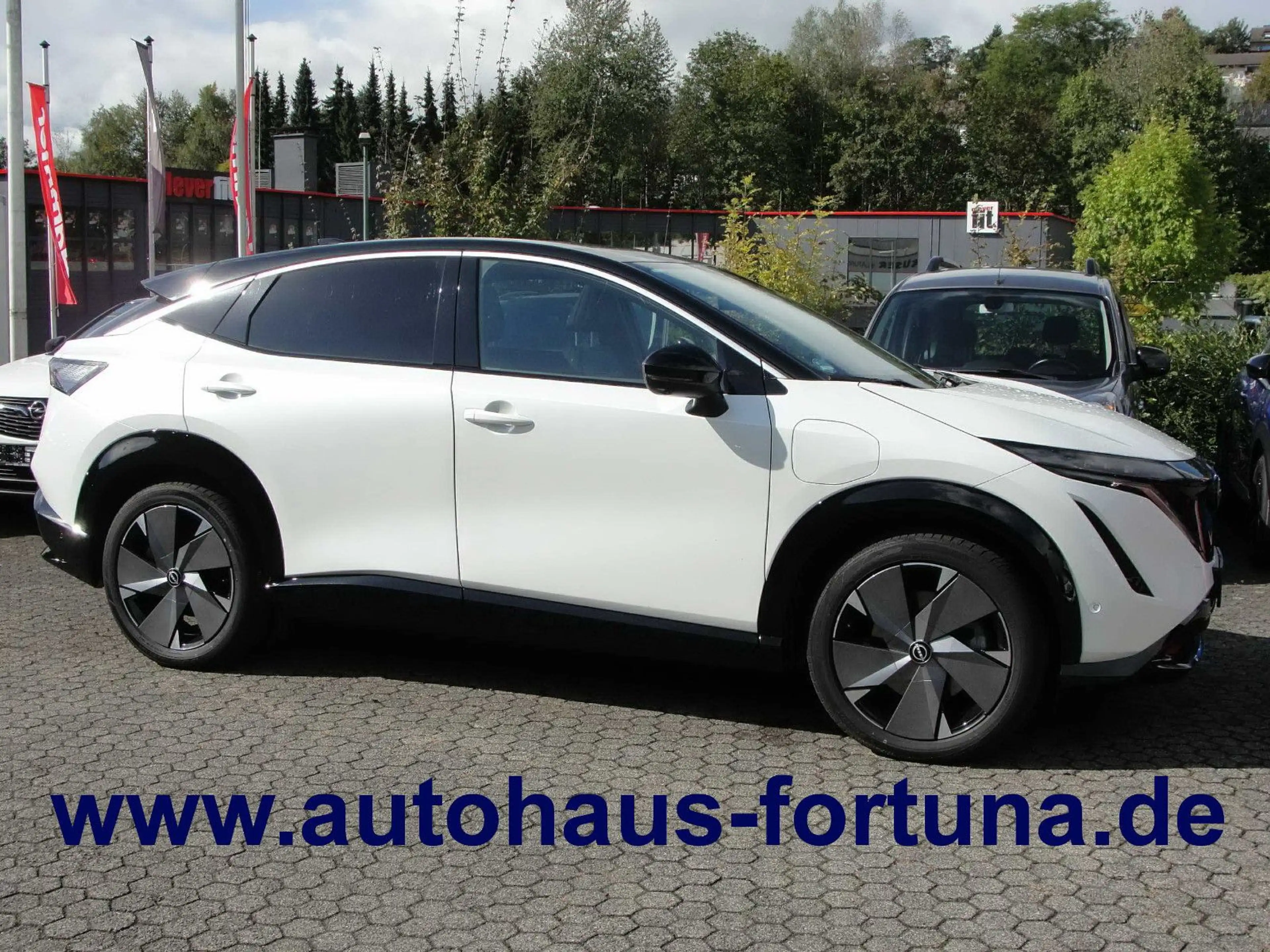 Nissan Ariya Evolve Pack 87 kwh Glasdach 20-Zoll HUD