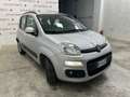 Fiat Panda Panda 1.2 Classic Argento - thumbnail 2