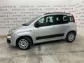 Fiat Panda Panda 1.2 Classic Argento - thumbnail 4