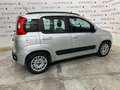 Fiat Panda Panda 1.2 Classic Argento - thumbnail 3
