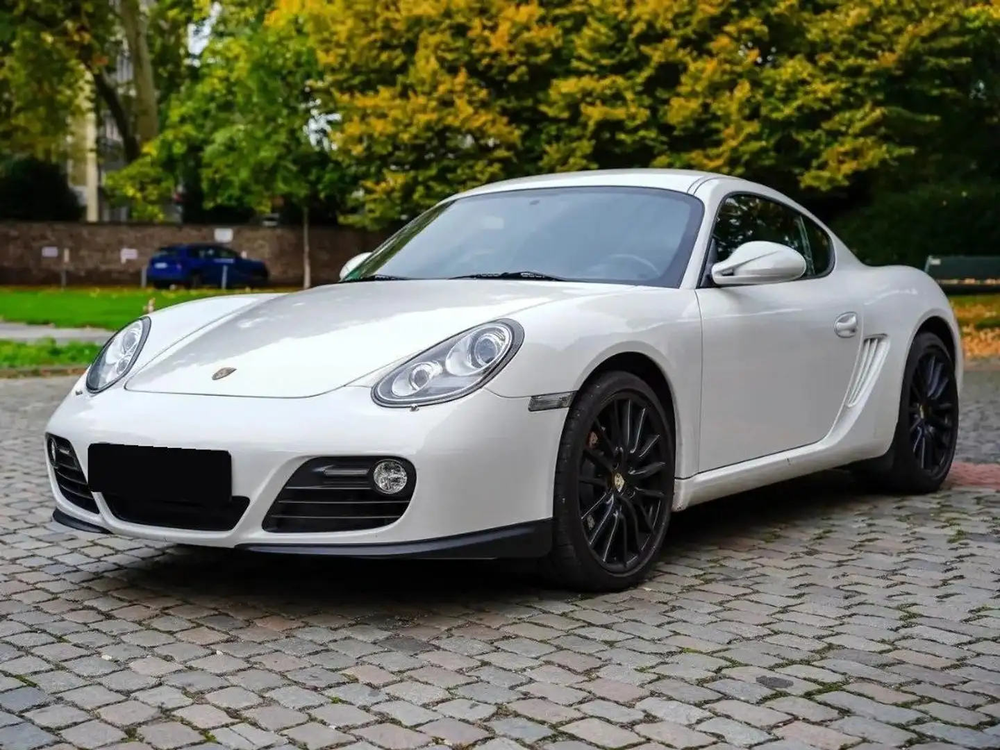 Porsche Cayman 987 Blanc - 1