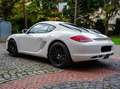Porsche Cayman 987 Blanc - thumbnail 12