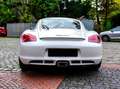 Porsche Cayman 987 Blanc - thumbnail 3