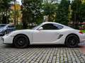 Porsche Cayman 987 Blanc - thumbnail 8
