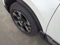 Honda CR-V CR-V 2.0 i-VTEC HYBRID Executive 4WD PANO+NAVI+ Weiß - thumbnail 10