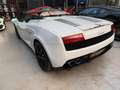 Lamborghini Gallardo LP560-4 Spyder Blanc - thumbnail 18
