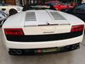 Lamborghini Gallardo LP560-4 Spyder Blanc - thumbnail 19