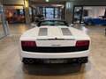 Lamborghini Gallardo LP560-4 Spyder Blanc - thumbnail 6