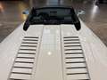 Lamborghini Gallardo LP560-4 Spyder Blanc - thumbnail 15