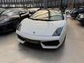 Lamborghini Gallardo LP560-4 Spyder Blanc - thumbnail 16