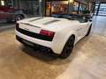 Lamborghini Gallardo LP560-4 Spyder Blanc - thumbnail 3