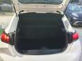 Peugeot 208 208 BlueHDi 100 Stop&Start 5 porte Active Bianco - thumbnail 12
