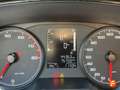 SEAT Ibiza 1.0 TSI S&S Reference 95 Amarillo - thumbnail 17