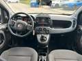 Fiat Panda Panda III 2021 Cross 1.0 firefly hybrid Garmin s Zwart - thumbnail 9