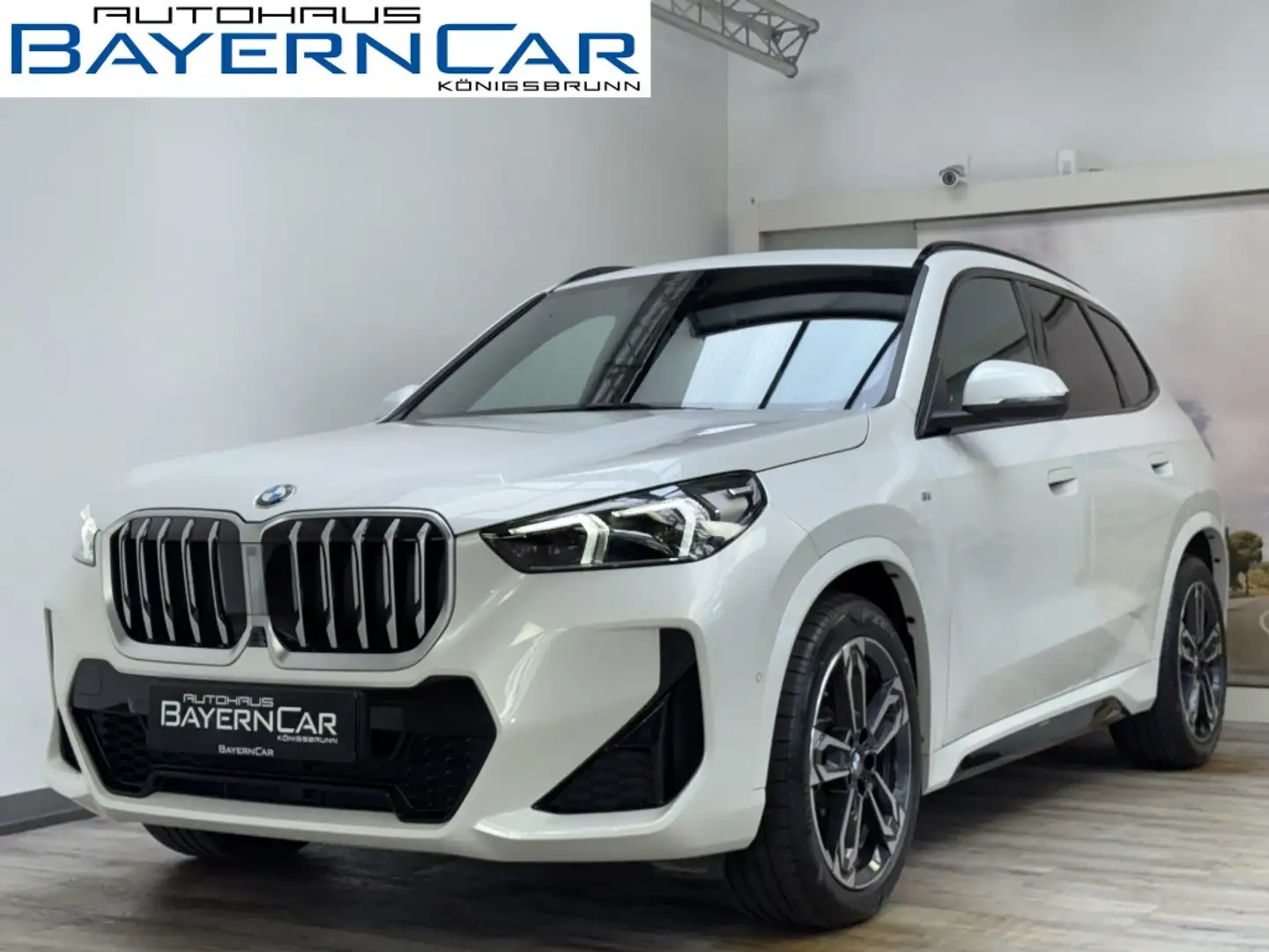 BMW X1 sDrive20i M Sport Pano ACC 360° CockpitProf Blanco - 1