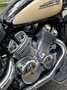 Yamaha XVZ 1300 Royal Star Beige - thumbnail 3