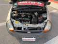 Ford Ka/Ka+ 1.3, NEOPATENTATI OK! Argento - thumbnail 14