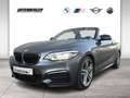 BMW 240 M240i xDrive Cabrio LED WLAN RFK Navi Prof. Shz Gris - thumbnail 1