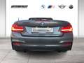 BMW 240 M240i xDrive Cabrio LED WLAN RFK Navi Prof. Shz Gris - thumbnail 5