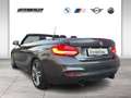 BMW 240 M240i xDrive Cabrio LED WLAN RFK Navi Prof. Shz Gris - thumbnail 4