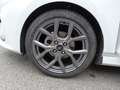 Ford Fiesta 1.0 EcoBoost MHEV ST Line 125 Blanco - thumbnail 11