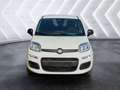 Fiat Panda Panda III 2024 1.0 firefly hybrid s Blanco - thumbnail 2