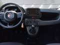 Fiat Panda Panda III 2024 1.0 firefly hybrid s Blanco - thumbnail 8