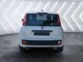 Fiat Panda Panda III 2024 1.0 firefly hybrid s Blanco - thumbnail 5