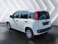 Fiat Panda Panda III 2024 1.0 firefly hybrid s Blanco - thumbnail 4