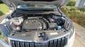 Skoda Karoq Karoq 1.5 TSI ACT Ambition DSG (EU6.2) Zilver - thumbnail 26